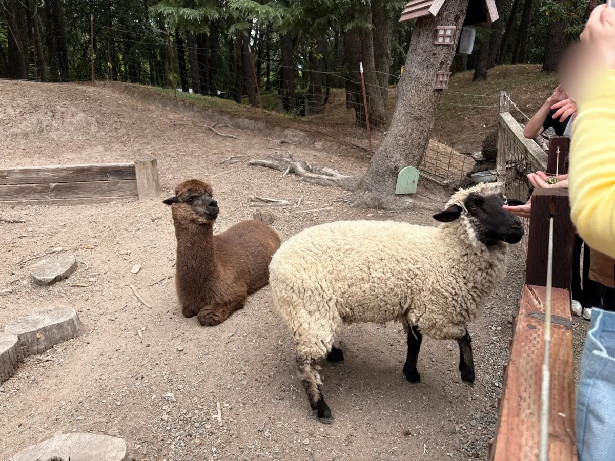 Petting Zoo in the middle of the stop
