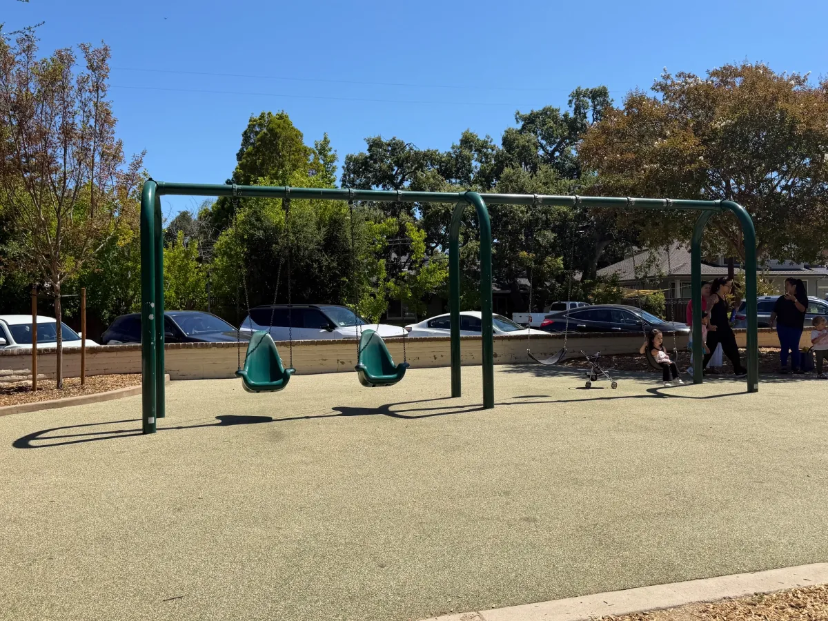 Big kid swings