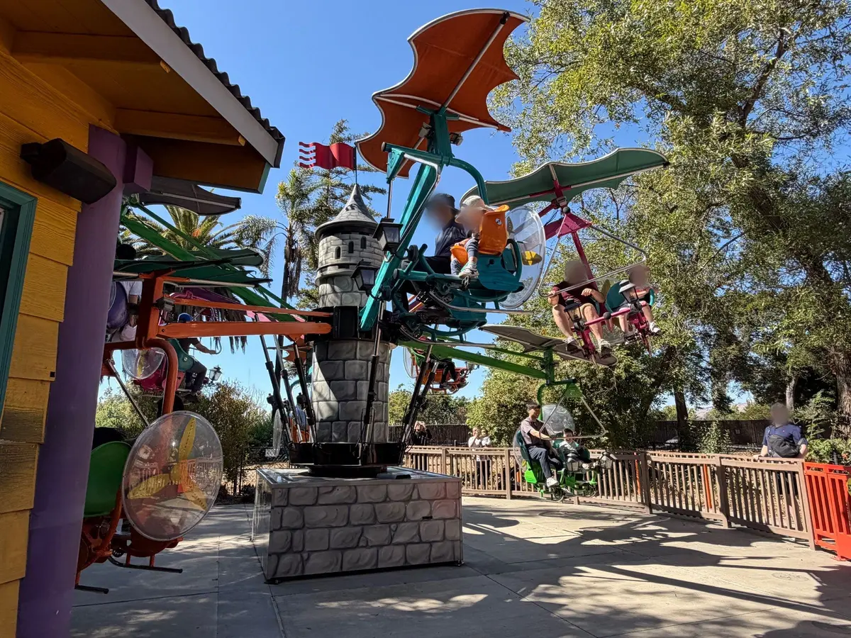 Dragon flyer ride 