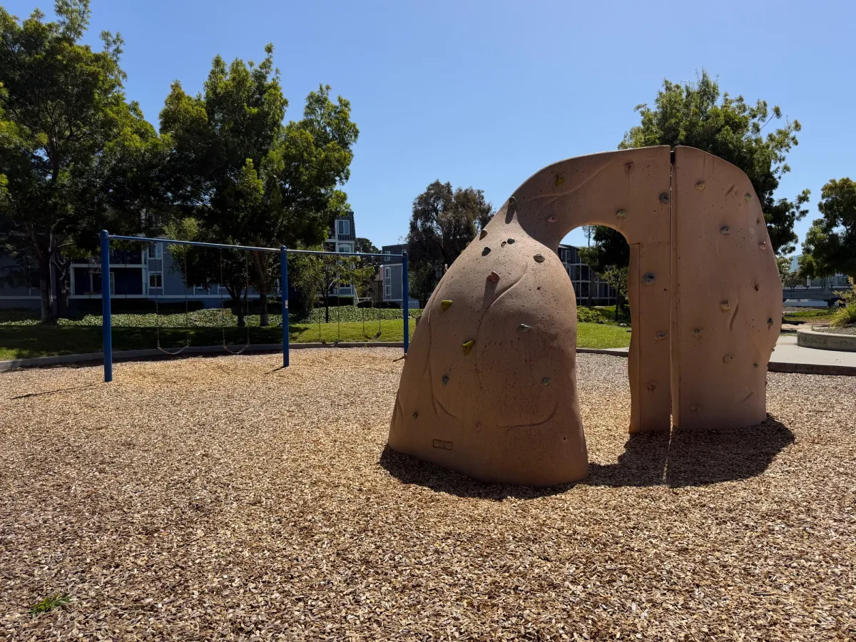 Rock climbing for bigger kids and swing sets