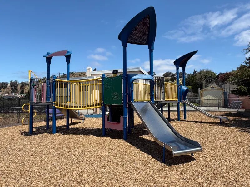 Play structure is really just 3 slides and bridges. 