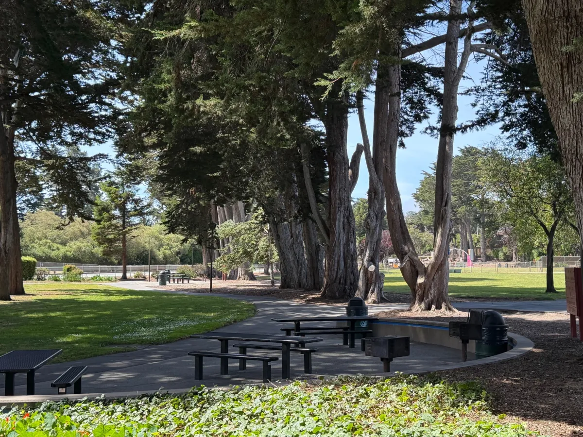 one of several picnic areas available