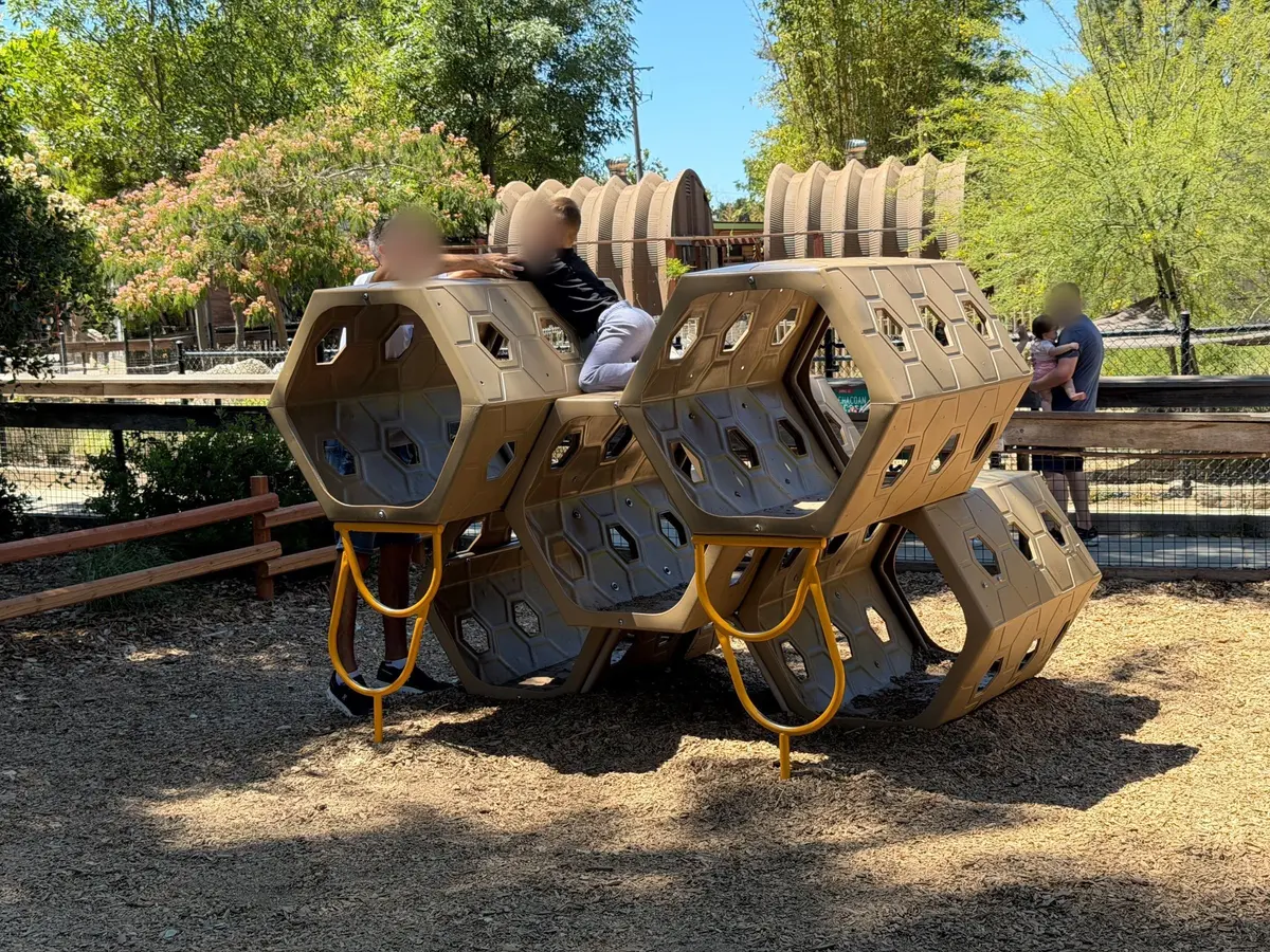 Honeycomb play structure at the zoo
