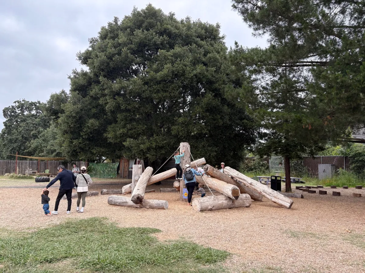 A climbing structure out in the nature section