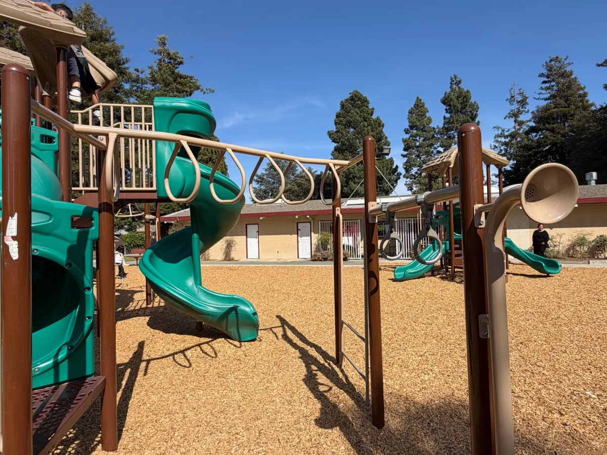 Monkey bars