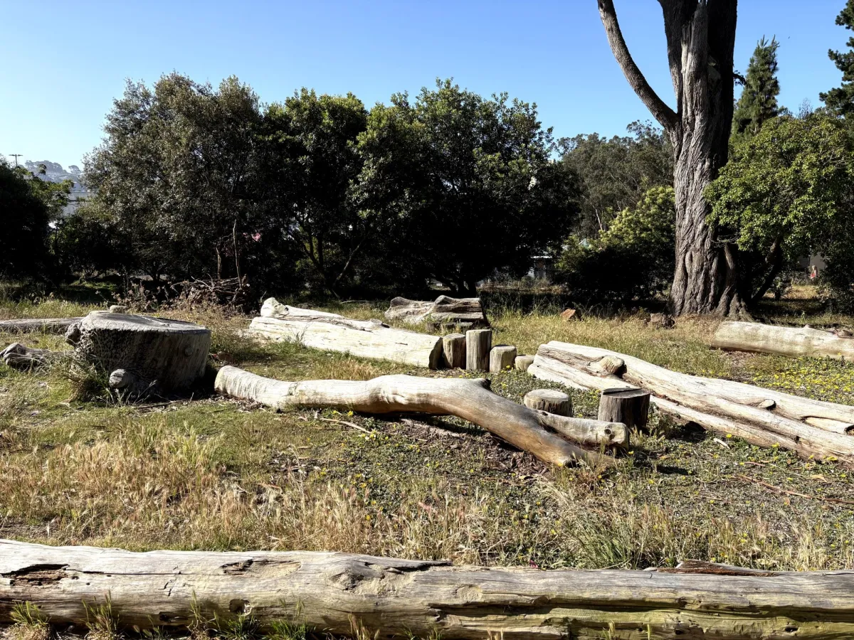 Logs for toddlers to climb on