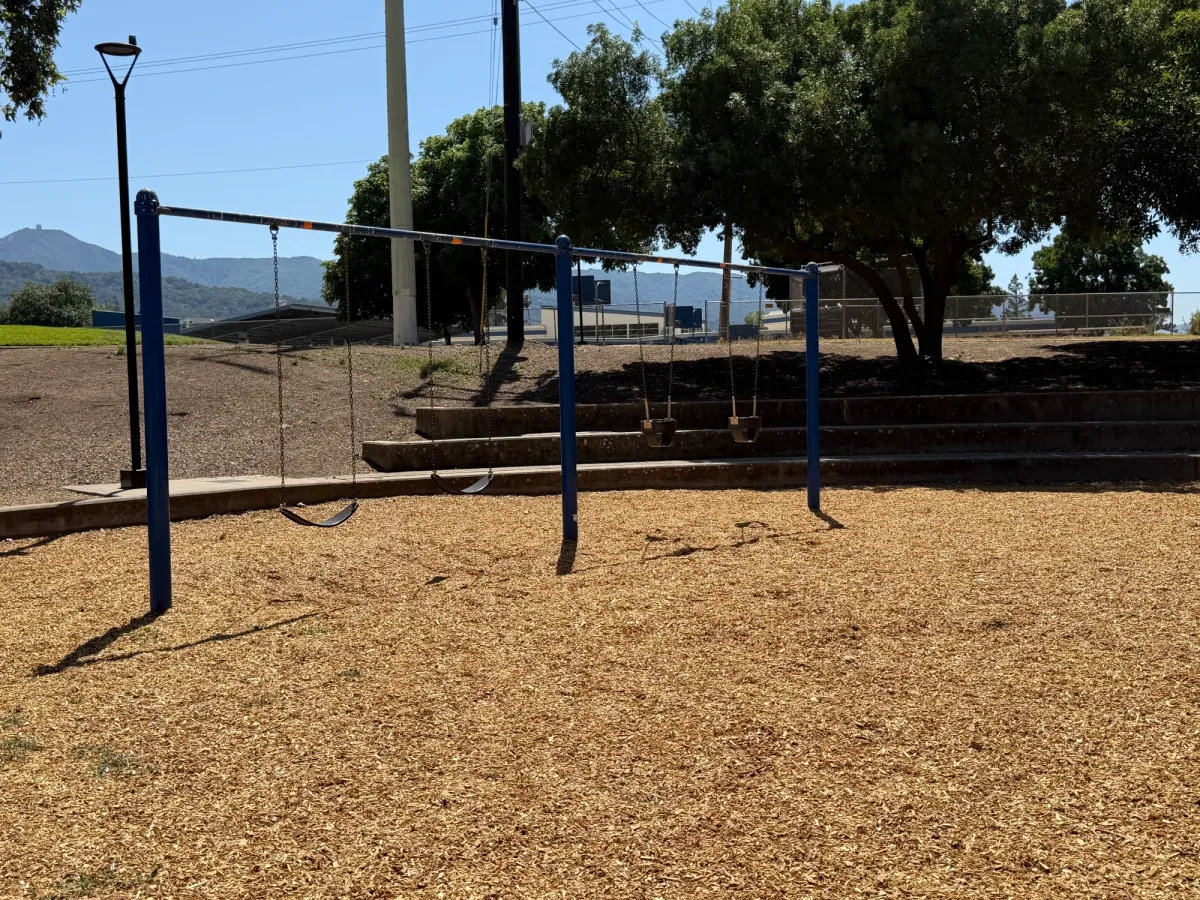 2 big kid and 2 baby swings