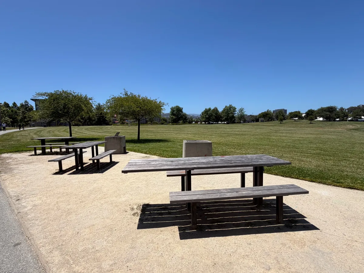 Scattered picnic tables in the park