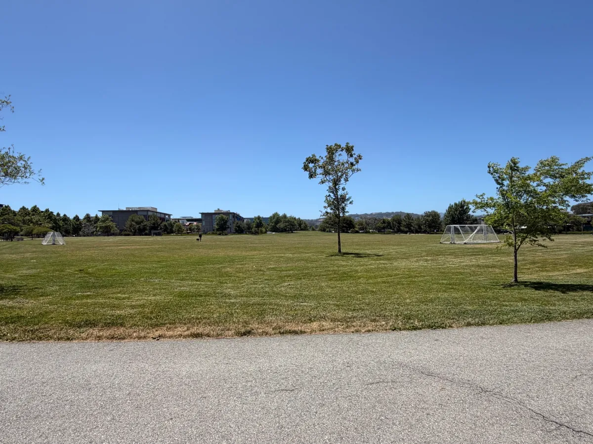 Large green field for soccer play