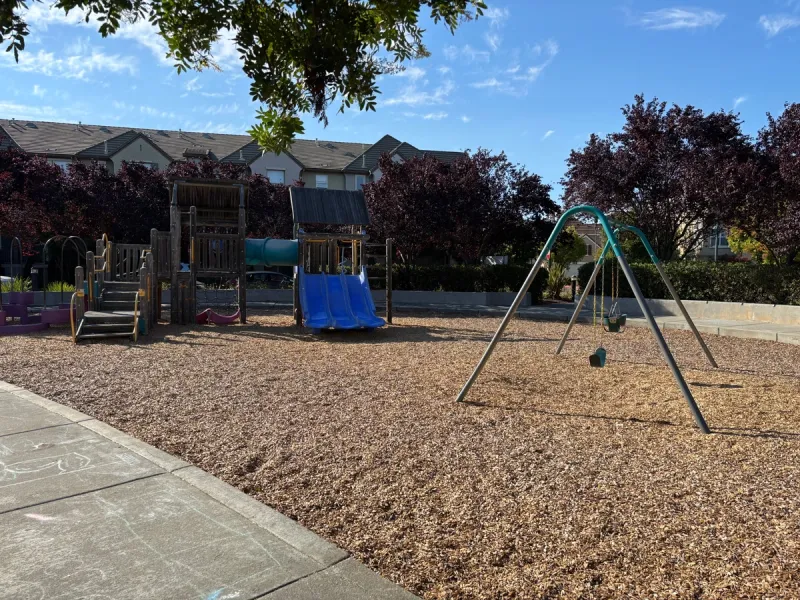 Play structure, both baby and big kid swing