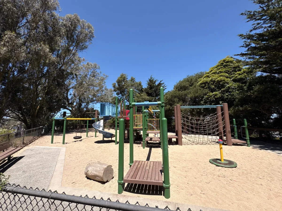 zip line and spinner