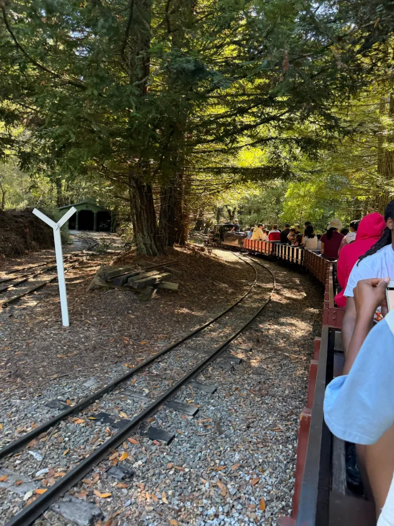 Steam train has lots of seating