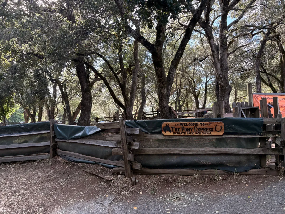 The park gives pony rides starting with $10