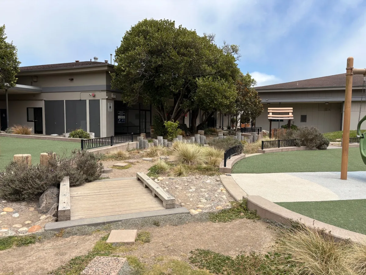 Sensory area for those who seek nature and stone walks