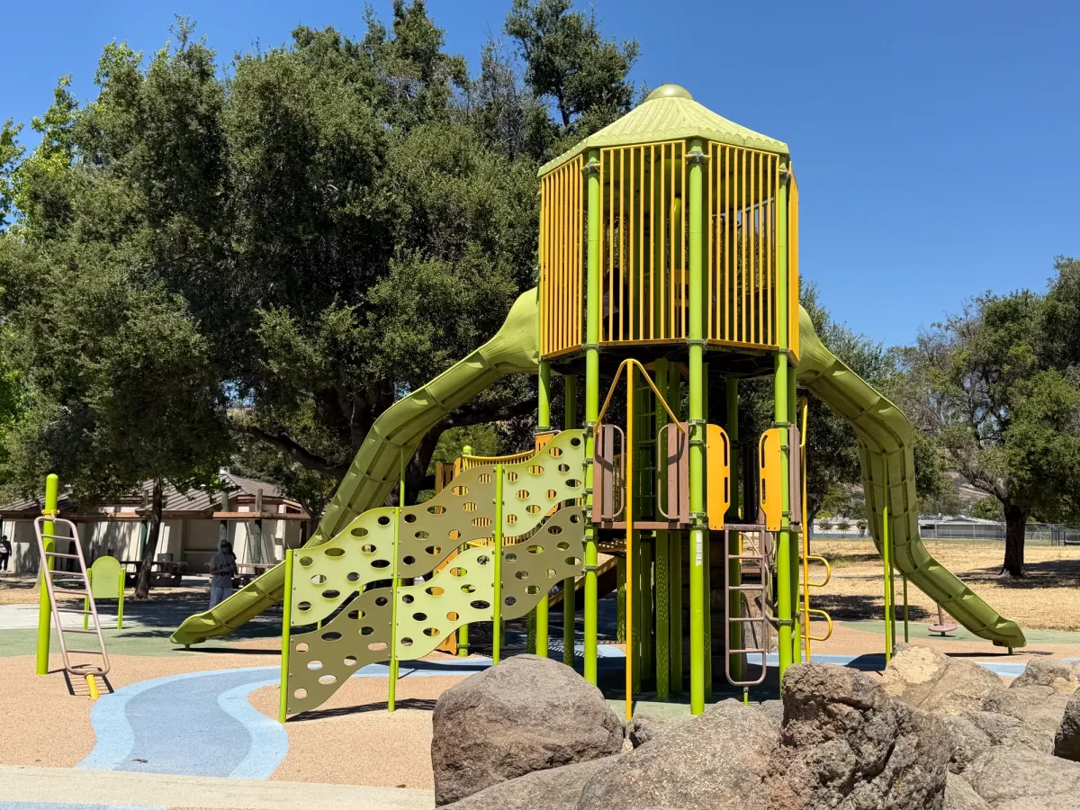 Big kid slide and climbing structure