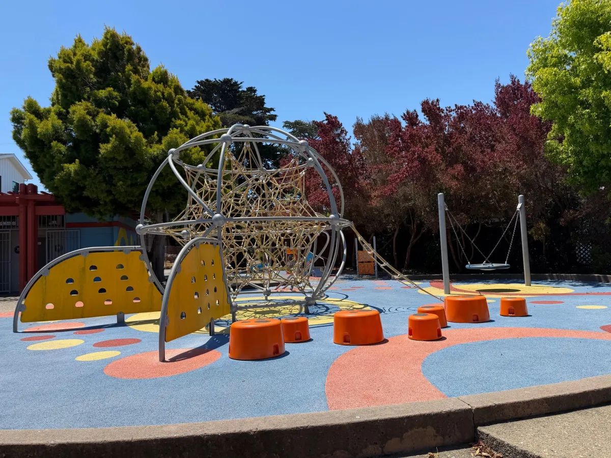 Climbing structure for big kids, stepping blocks, and saucer swing