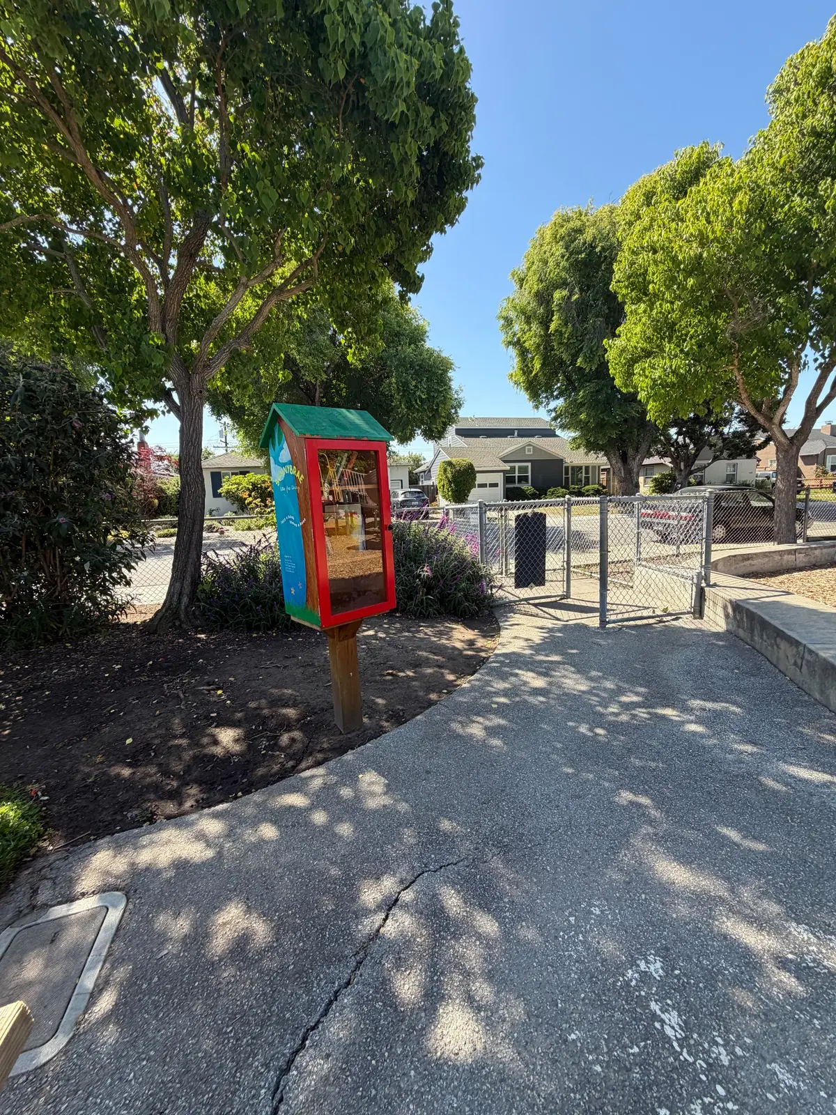 children’s library