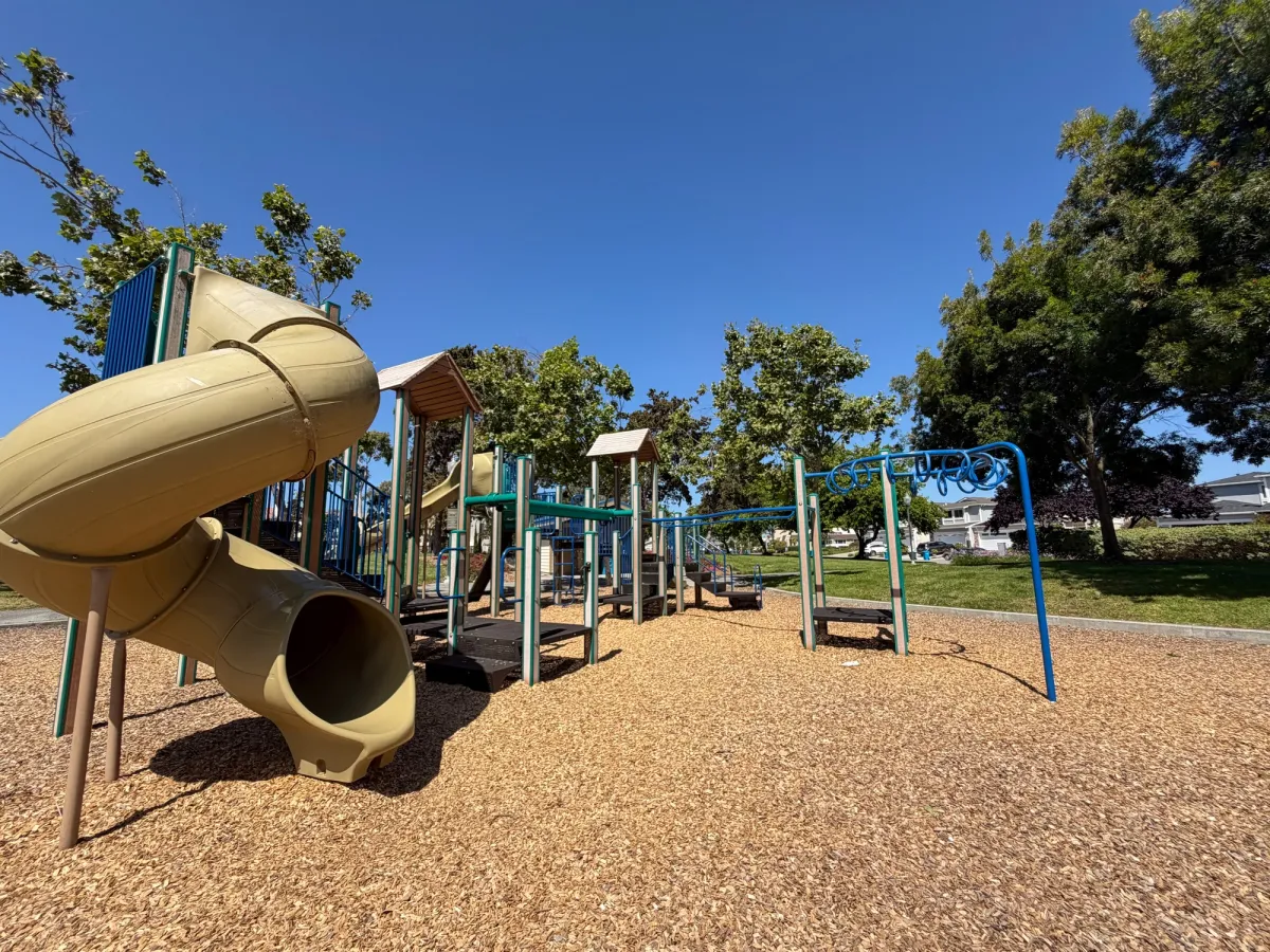 Zip line and monkey bars on big kid play structure