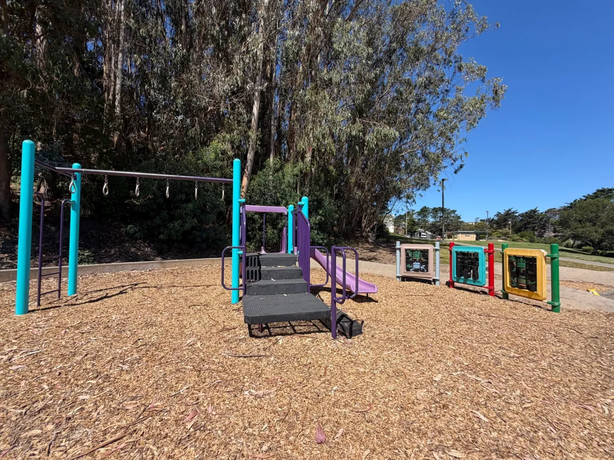Monkeybars, slide, and sensory panels