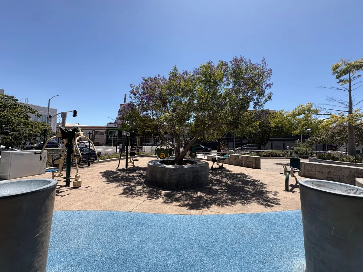Outdoor exercise gym