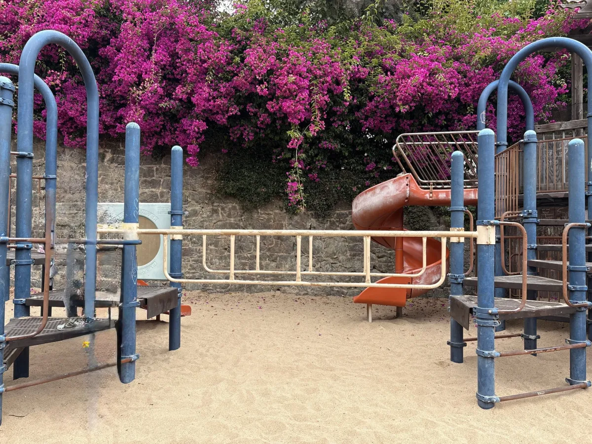View of the connecting monkey bars - very floor is lava material