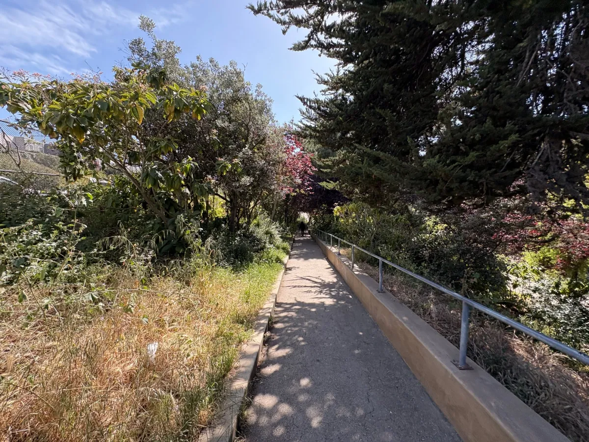 Trail view