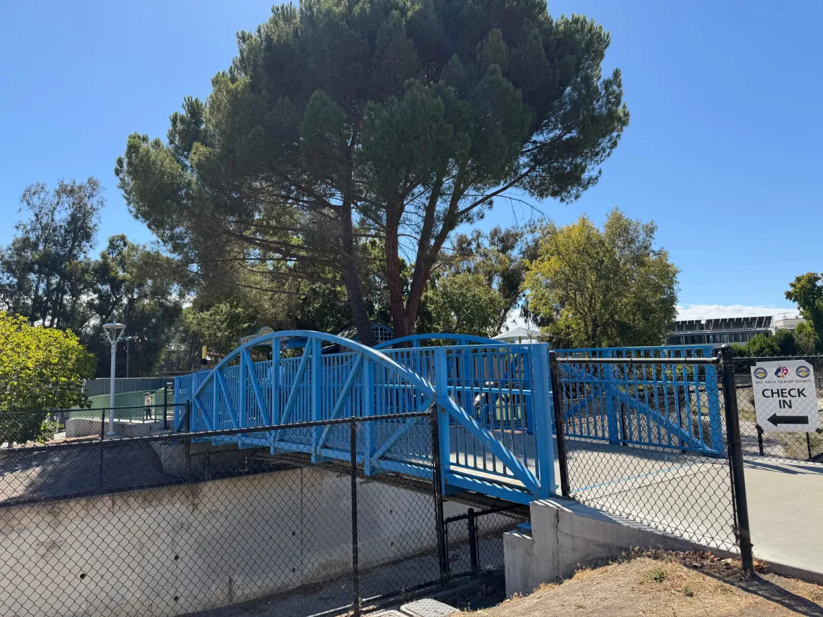 Bridge to playground