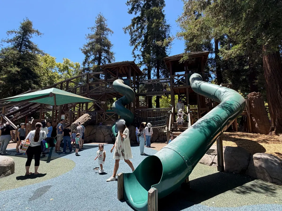 Super long, tall slides
