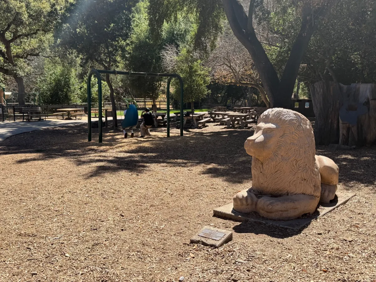 Big kid swings are outside the playground, next to the picnic tables