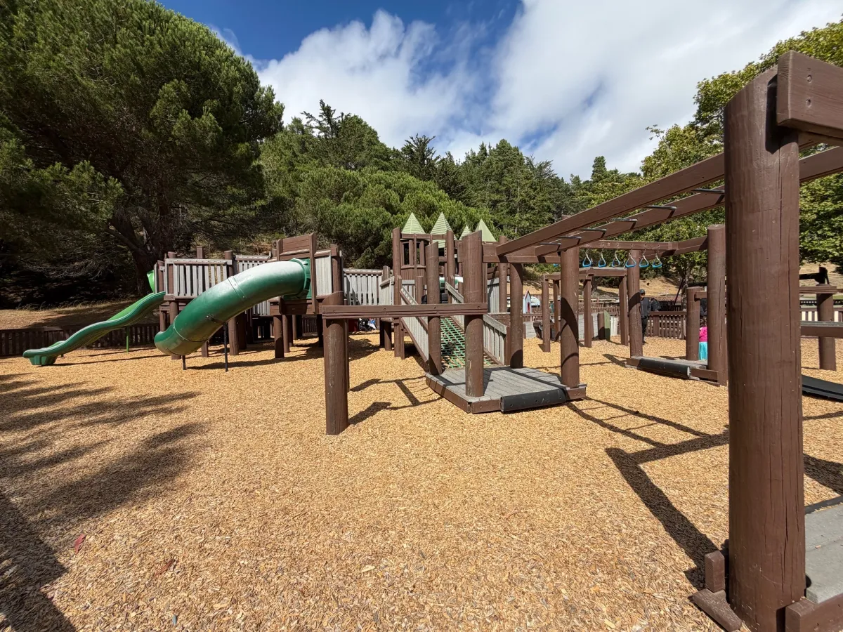 Monkey bar, slides, and climbing ramp