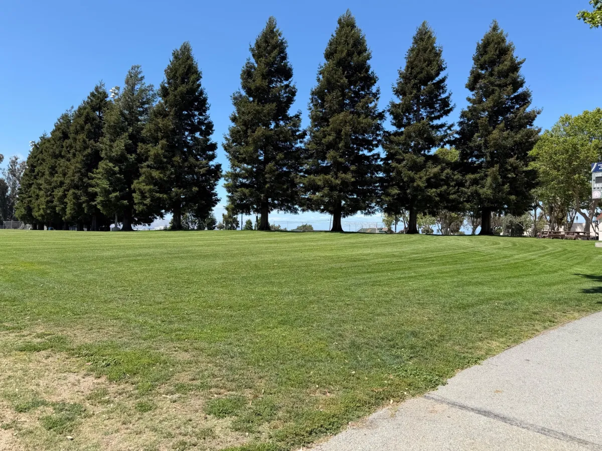 Grassy area for picnicking or dogs to play