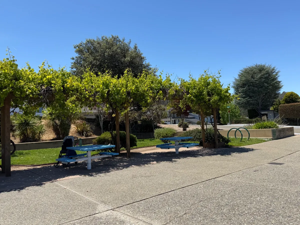 Cute shaded picnic area 