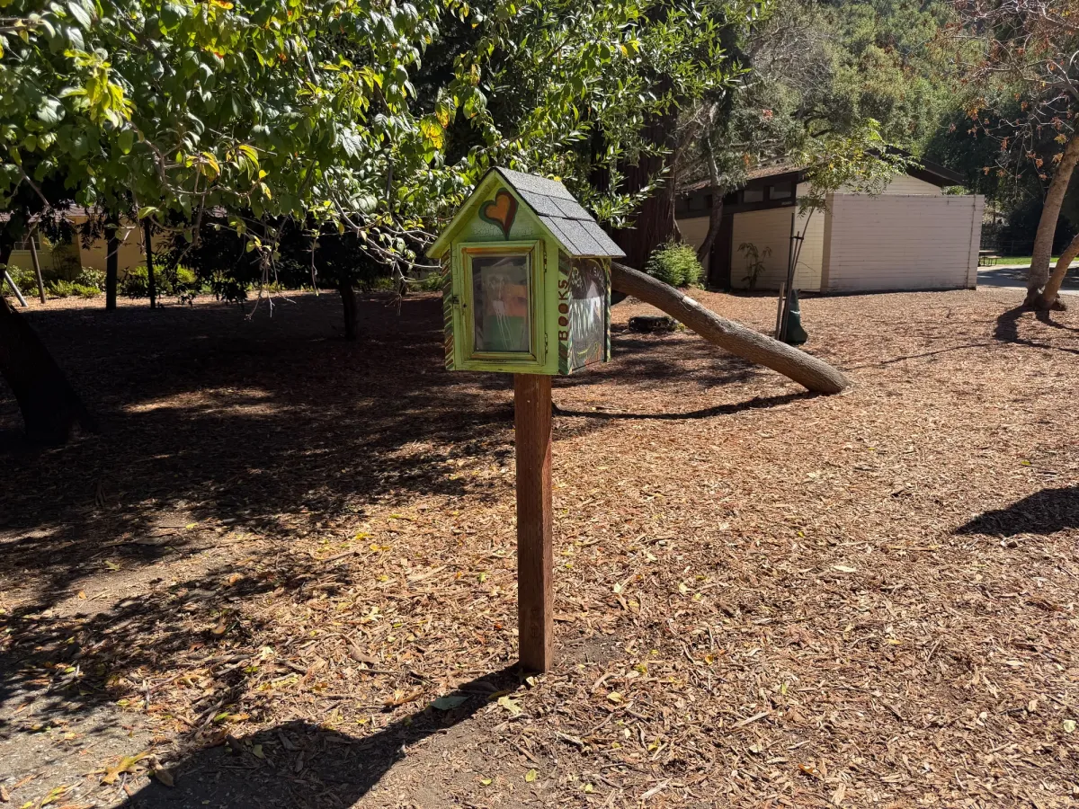 Little free library