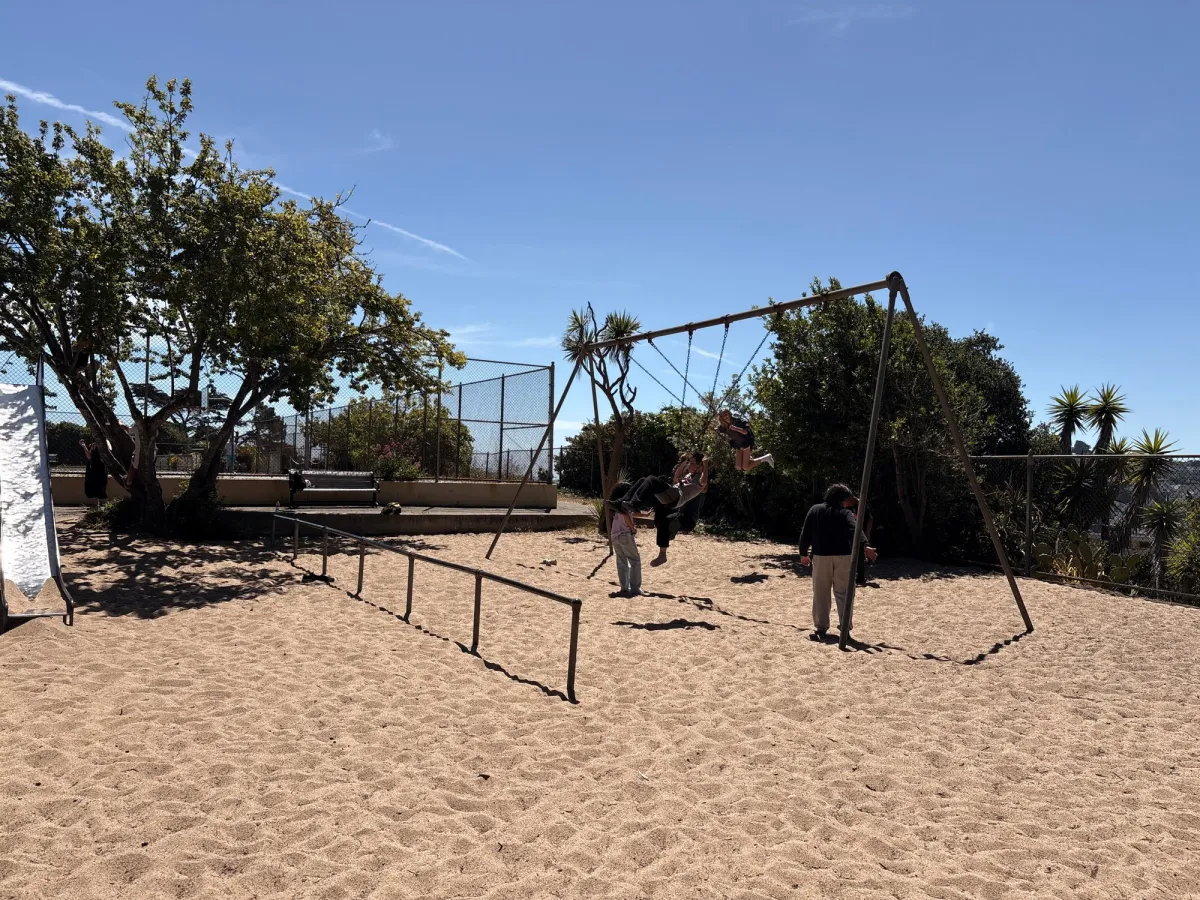 Big kid swings