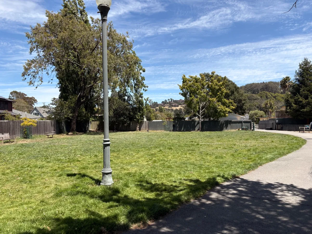small grassy field