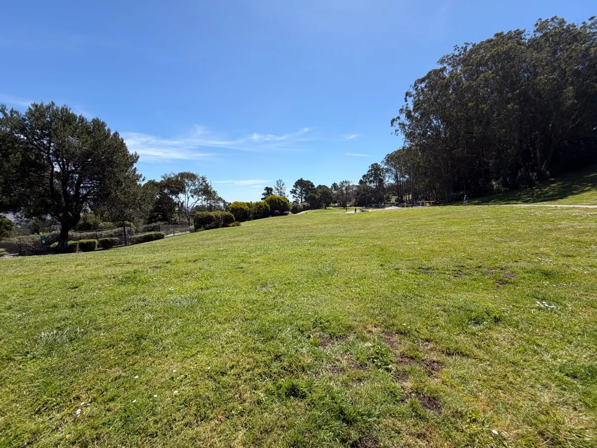 Well maintained field