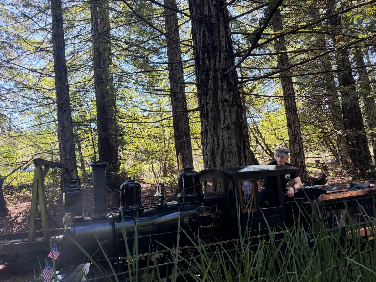 Tilden Park Steam Train at the Redwood Valley Railway