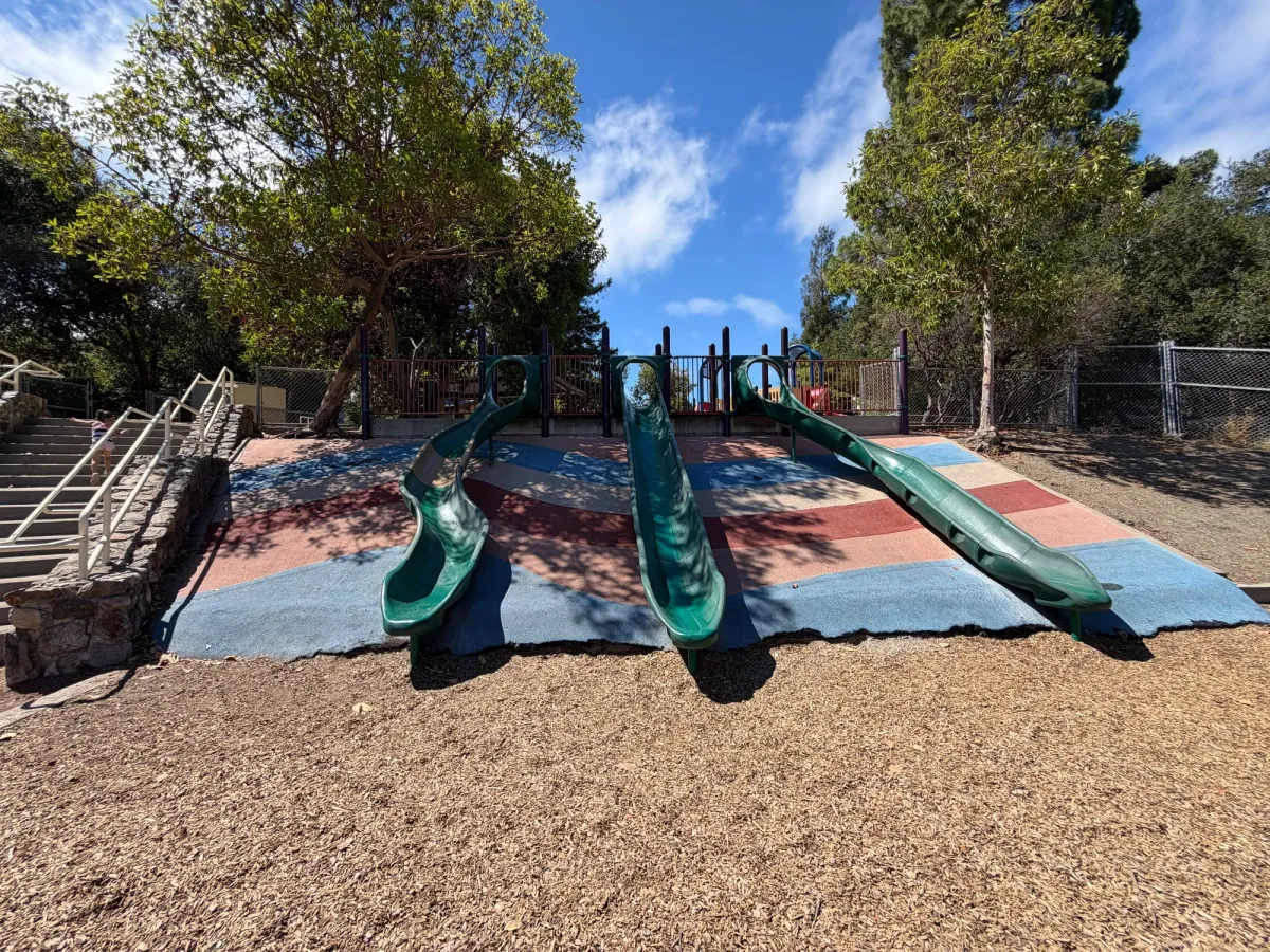 Big kid slides built into the hillside
