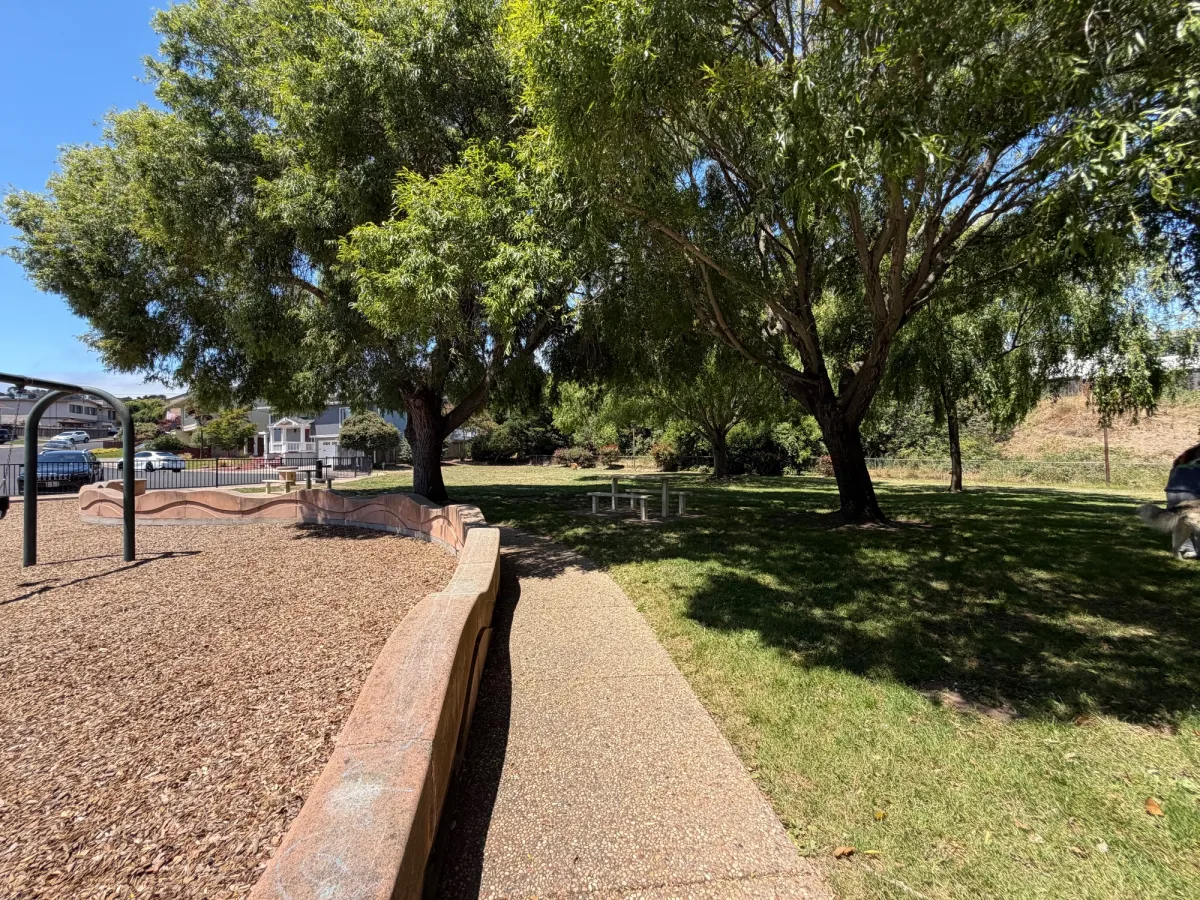 Only 1 picnic table for seating at the park