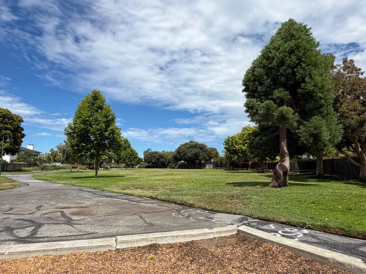Large grass field alongside playground