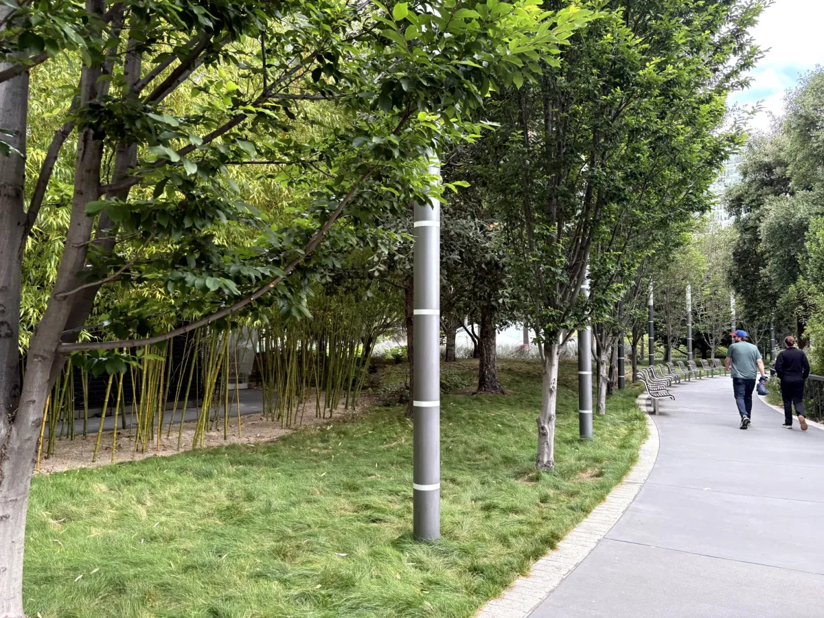 Walking trail