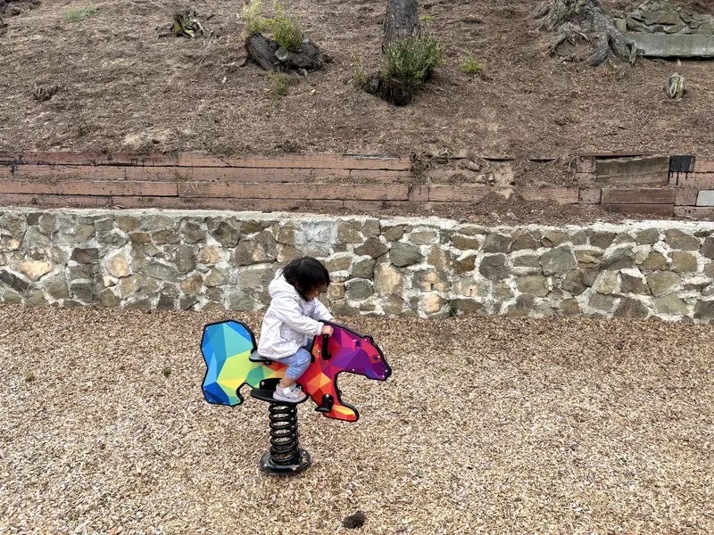 kid riding a bear ride on toy