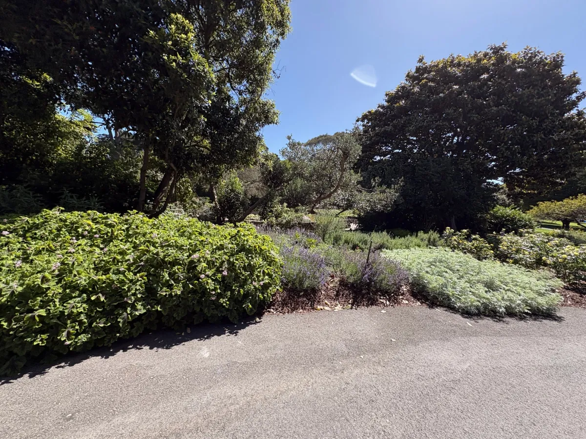 View of the grounds