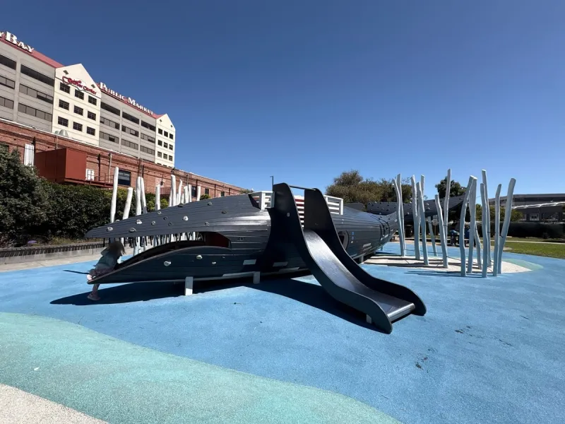 Whale slide