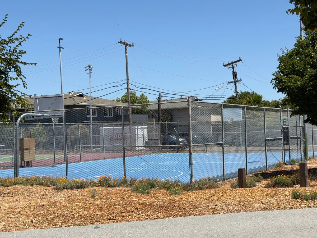 Basketball court