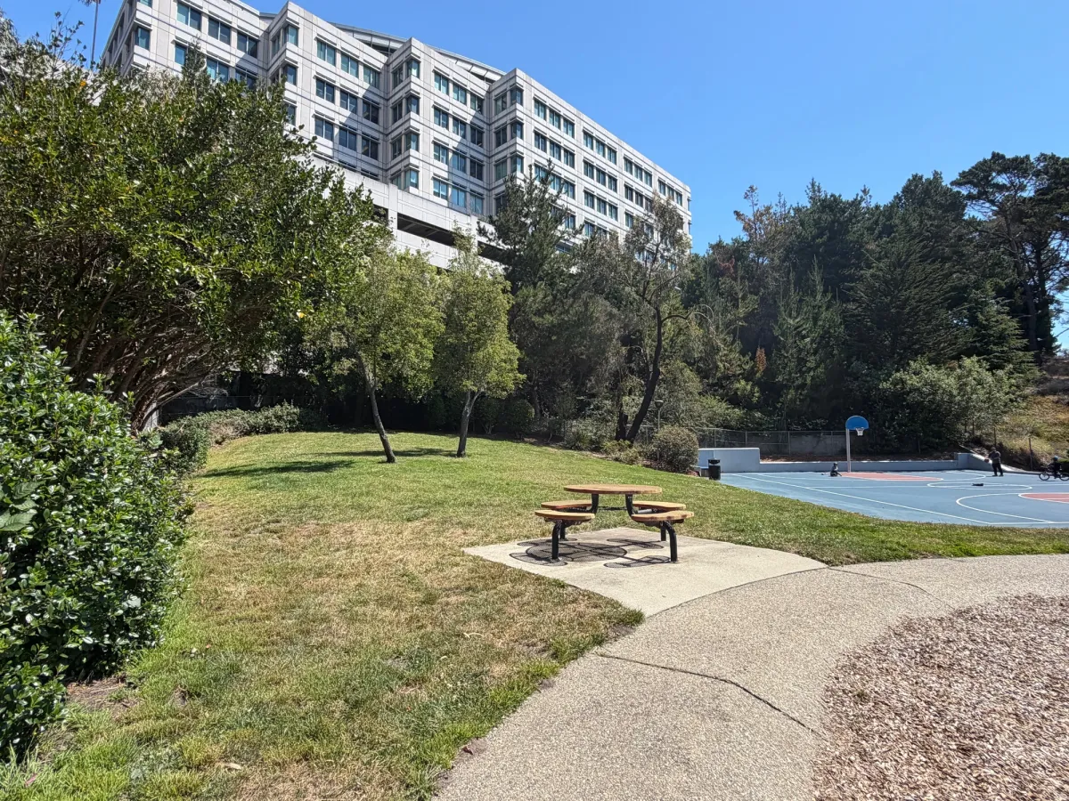 small grassy patch next to basketball courts