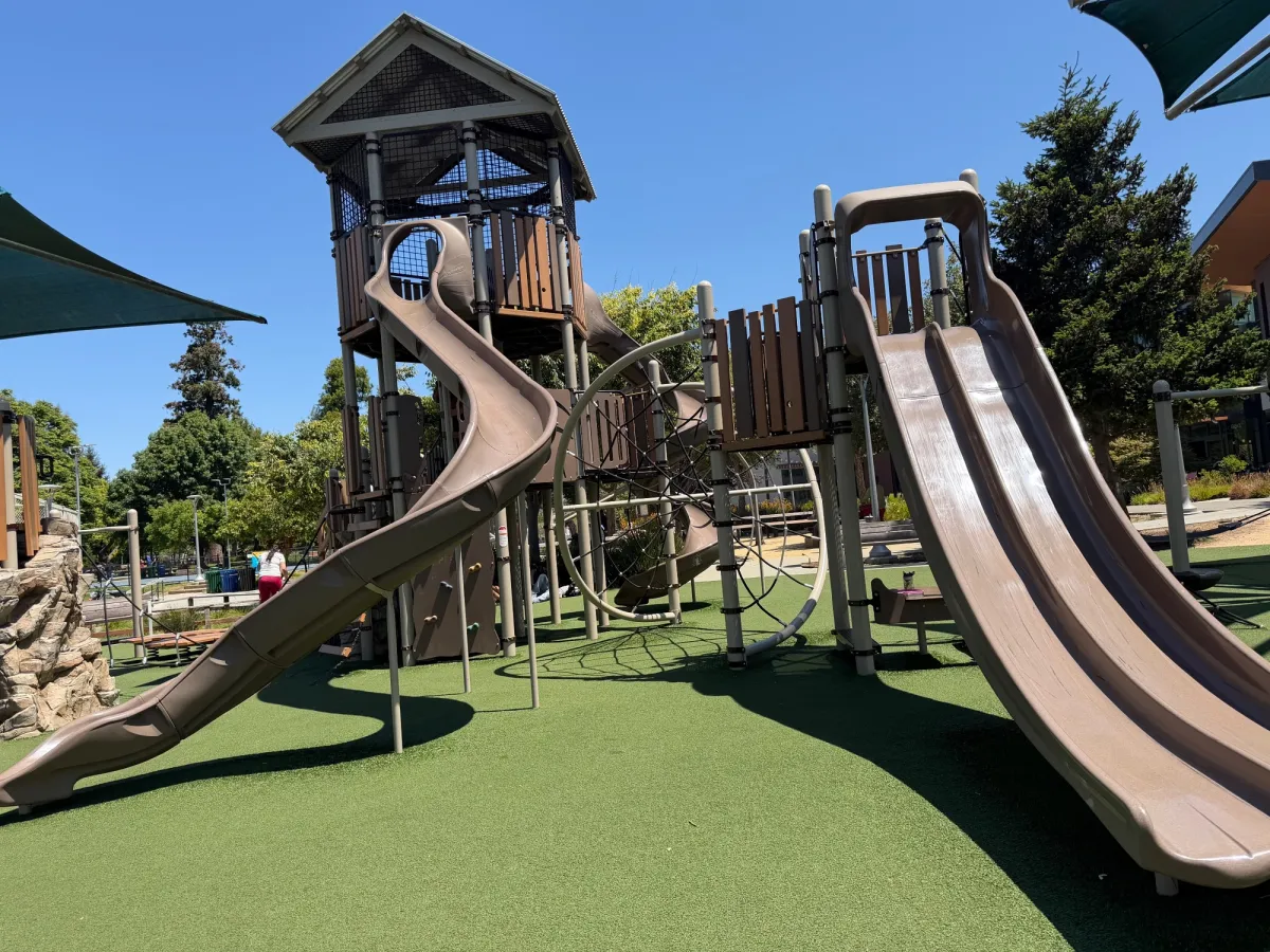 Tall slides and climbing structure