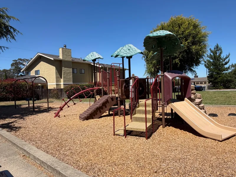 Tree themed toddler playground