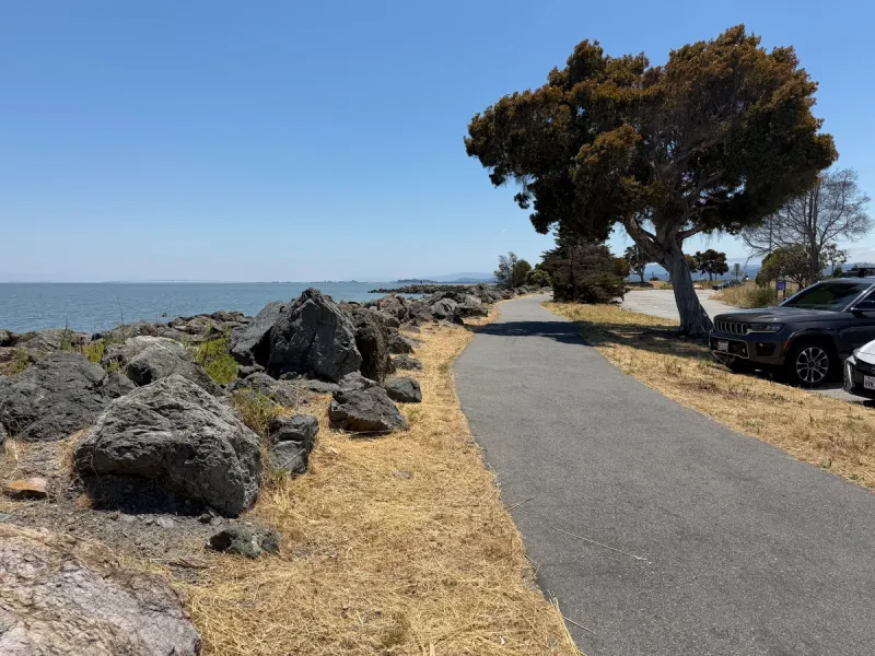 Long flat paths perfect for a stroll, jog, toddler bikes, or dog walk while enjoying the view