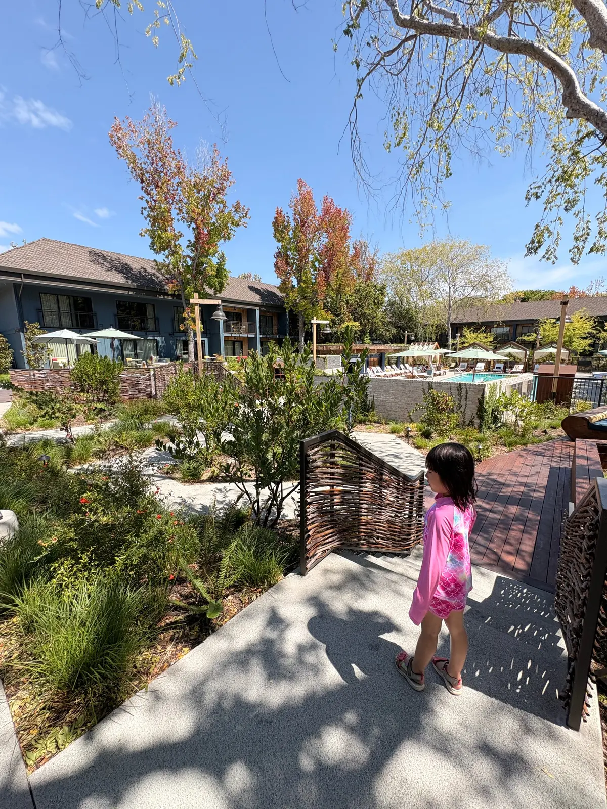 Treehouse Hotel Silicon Valley